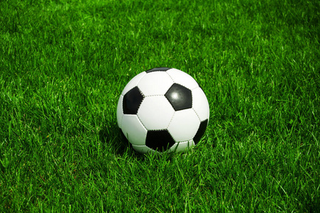 天天盈球即时比分多平台下载